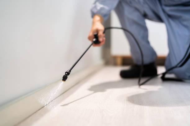 Licensed Termite Control service in Hudson, FL - Nex Pest Control