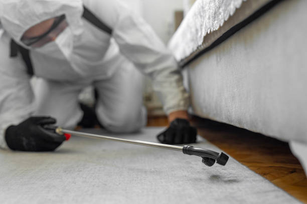 Professional Termite Control technician working in Hudson, FL