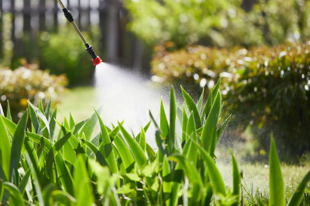 24/7 Emergency Termite Control experts in Hudson, FL