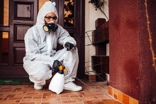 Reliable Termite Control contractor in Hudson, FL by Nex Pest Control