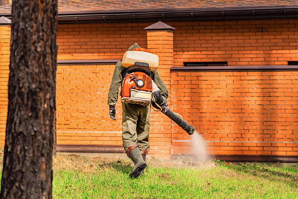 Trusted Termite Control service in Hudson, FL - Nex Pest Control